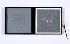 Alexander James Hamilton swarm prints box set for sale