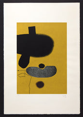 points of contact, 20 by victor pasmore