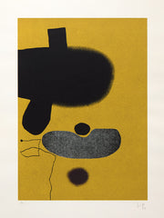 victor pasmore  points of contact 20