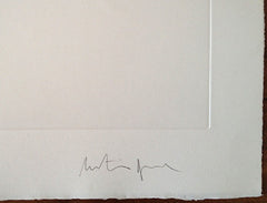 Martin Boyce artist signature