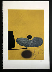 Points of Contact 16 Victor Pasmore 
