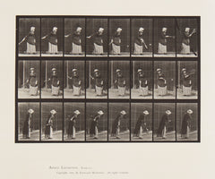 Eadweard Muybridge Animal Locomotion, Plate 297