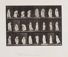 Eadweard Muybridge Animal Locomotion, Plate 299