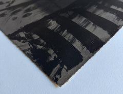 Howard Hodgkin print on paper