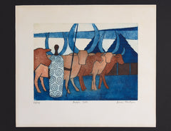 Ankole Cattle Julian Trevelyan 