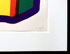 Howard Hodgkin signed lithograph
