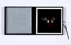 Alexander James Hamilton swarm box set prints