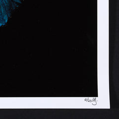 Alexander James Hamilton signed prints for sale
