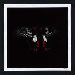 Alexander James Hamilton swarm butterflies red 