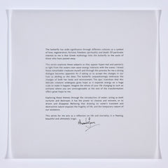 Alexander James Hamilton swarm text sheet