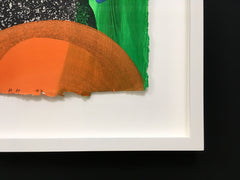 framed print hodgkin