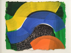 Howard Hodgkin Put Out More Flags