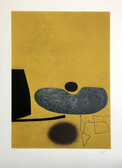 Victor Pasmore Points of Contact 16