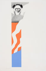 Gerald Laing Pennon from parachutes